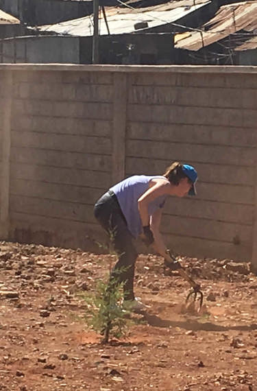 Volunteers working the ground